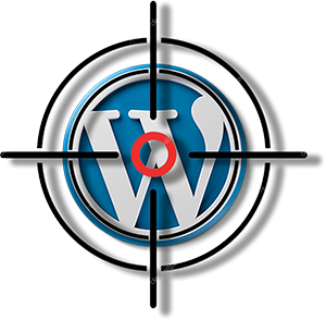 WordPress security